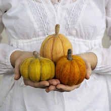 Load image into Gallery viewer, Felted Pumpkins Workshop
